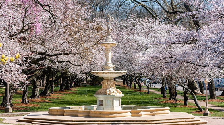 The gorgeous Josephine Fountain at Brandywine Park