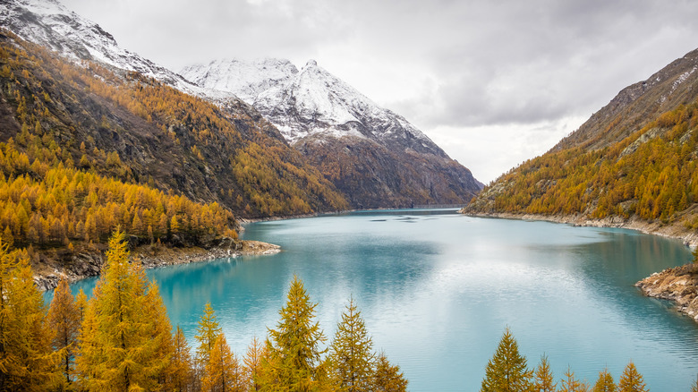 Snowcapped mountains