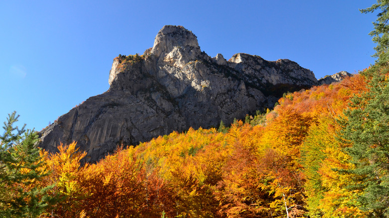 Fall scenery in Piedmont