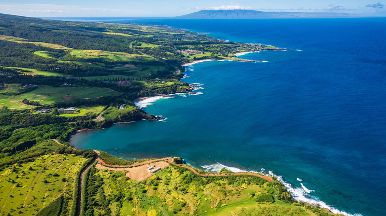 Aerial view of Honolua Bay, Maui