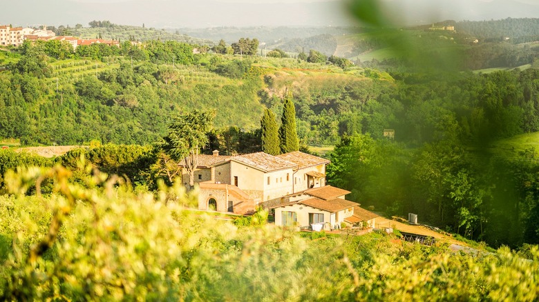 Agrivilla I Pini buildings trees