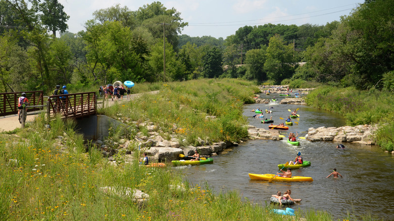 A bunch of kayaks in the water near Ann Arbor.