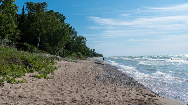 beach lake huron canada