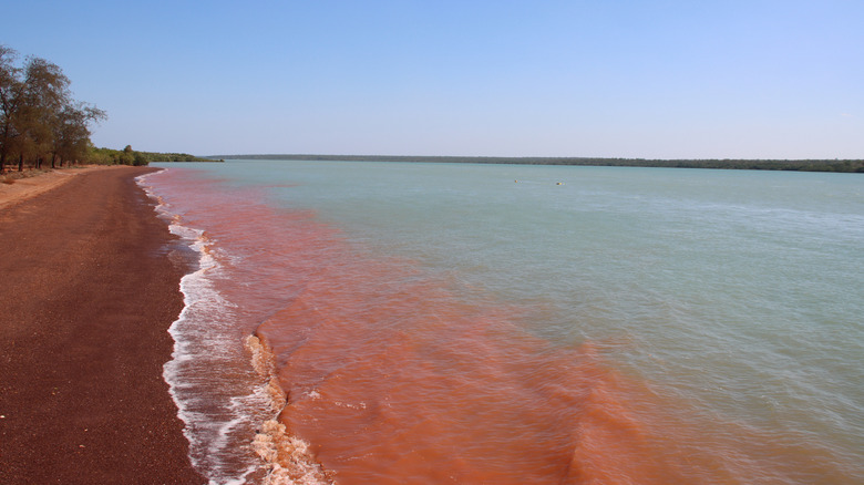 A beach on Bathurst Island, part of the Tiwi Islands of Australia