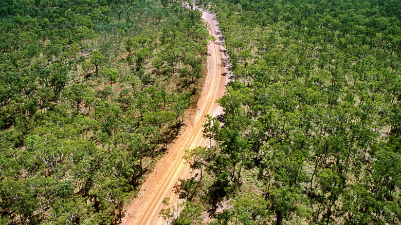 Aerial view of groves of trees on Bathurst Island, one of the Tiwi islands of Australia