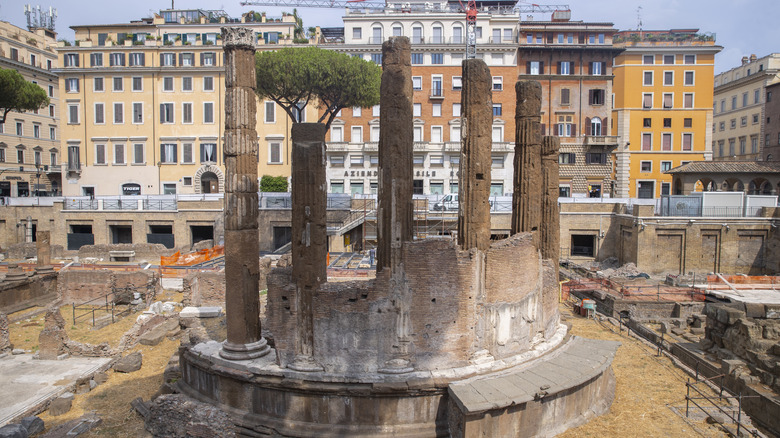 Torre Argentina ruins in Rome