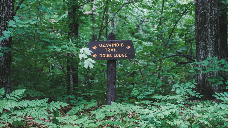 A trail indicator sign in the forest