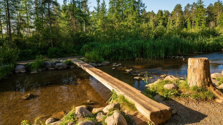 A single wooden log bridge crossing a small stream.