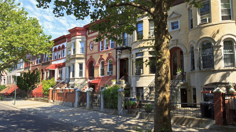 Apartments in Crown Heights neighborhood in Brooklyn, NY