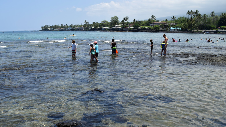 Swimmers at Kahalu'u Beach Park