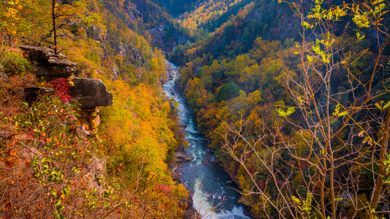 Tallulah Gorge State Park, Georgia