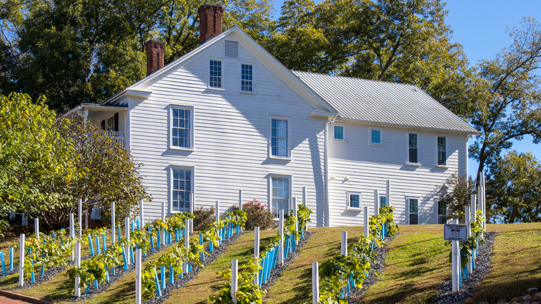 Restored farmhouse and vineyard in Dahlonega, Georgia