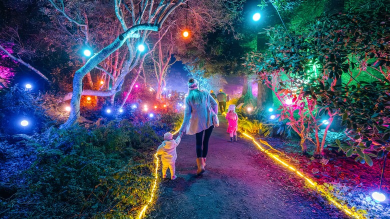 Visitors at Mendocino Coast Botanical Gardens' Festival of Lights