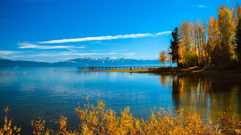 autumn scene and lake pier