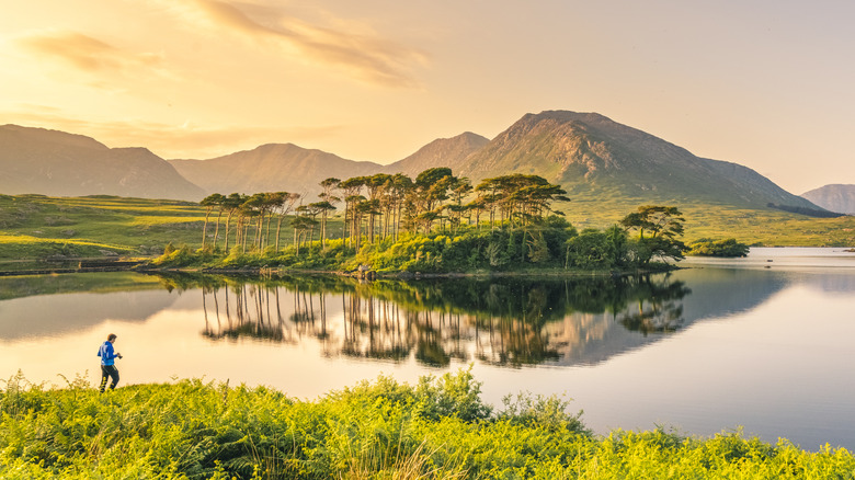 Pines Island on Derryclare Lake at sunset