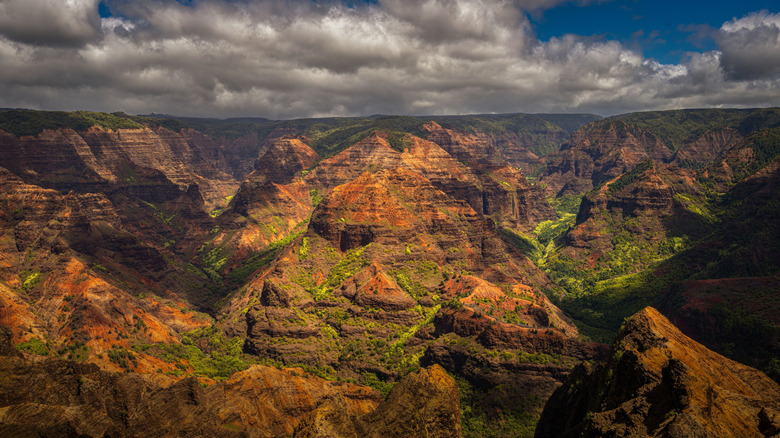 An aerial view of Waimea Canyon