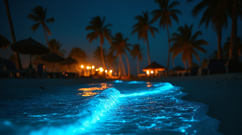 Bioluminescent waves with palm trees in the background