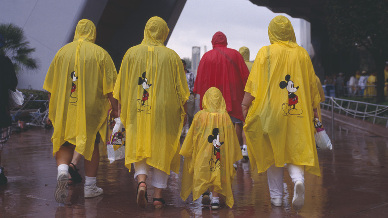 Rain at Disney World