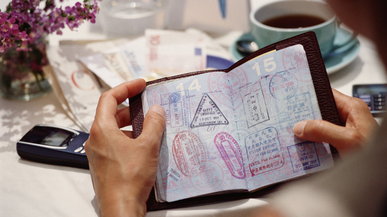 Person holding passport