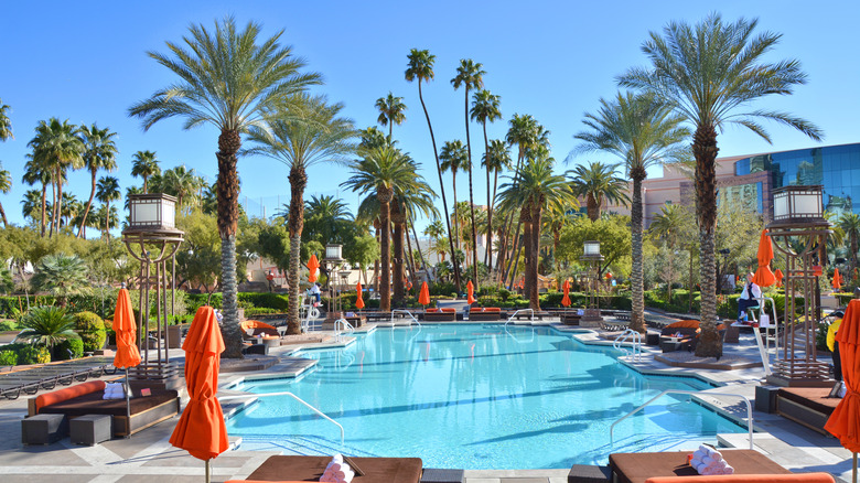 Las Vegas pool palm trees