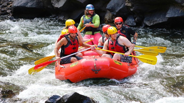 A group of rafters navigating whitewater river rapids