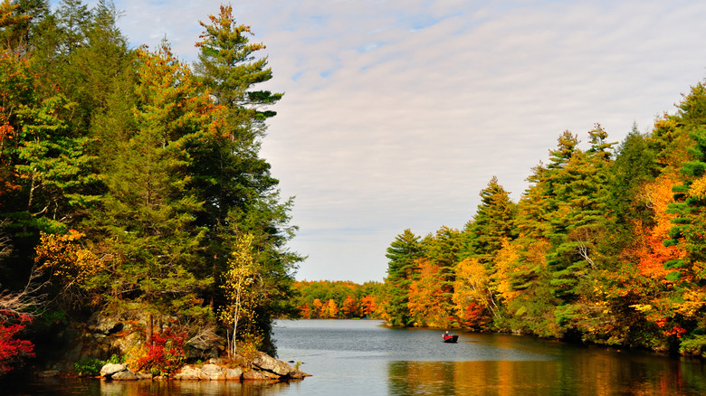 Bigelow Hollow State Park lake surrounded by fall foliage in Connecticut