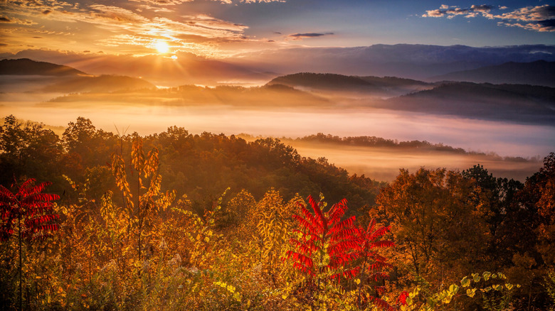 Autumn in the Foothills Parkway, Tennessee