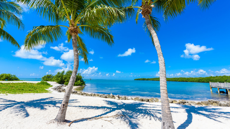 Sombrero Beach view