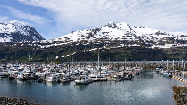 boats in Marina with snow-capped mountain in Whittier, Alaska