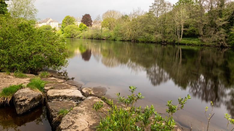 The river Tees surrounded by foliage near a village in England