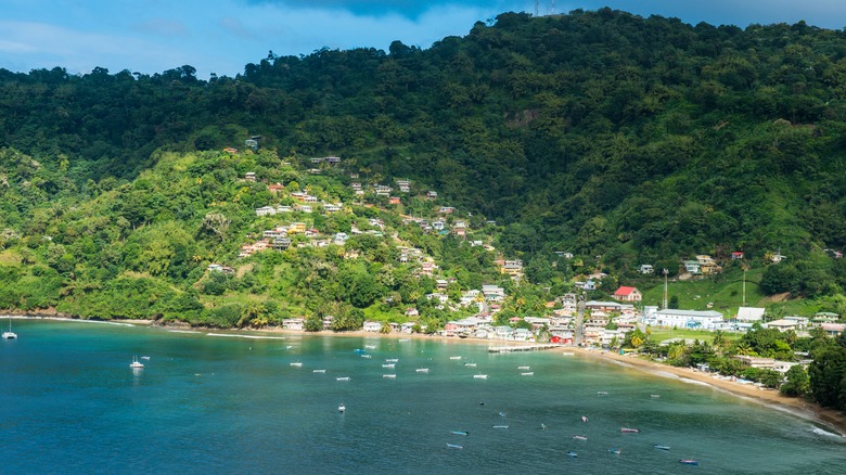 Charlotteville fishing village Tobago