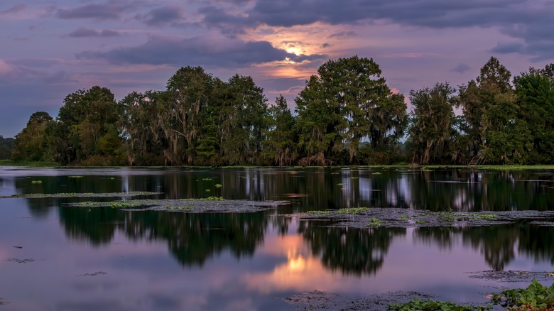 Alligator lake sunset