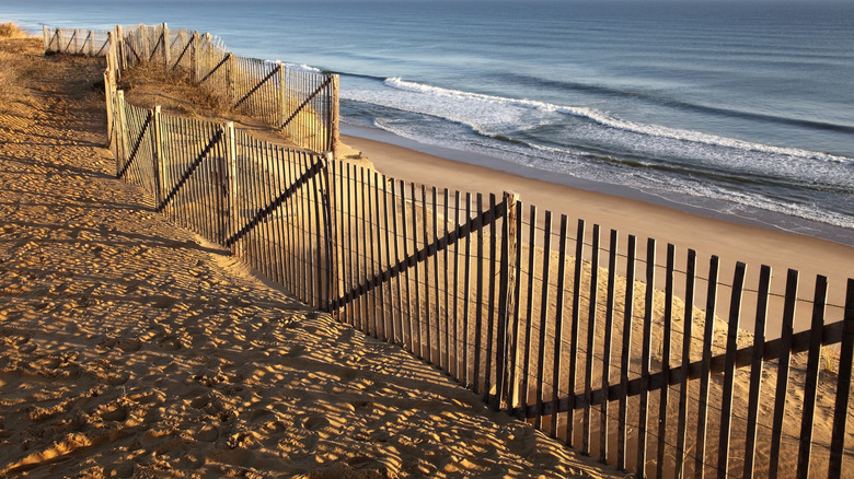 Beach in Wellfleet, Massachusetts