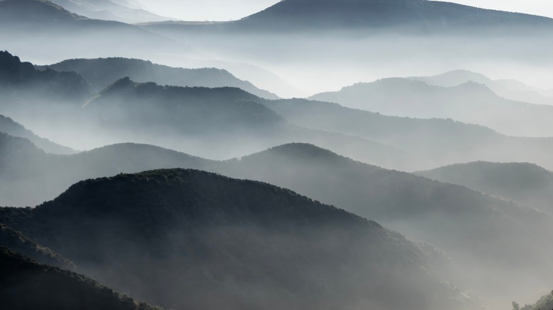 Misty landscape in the California Bay Area