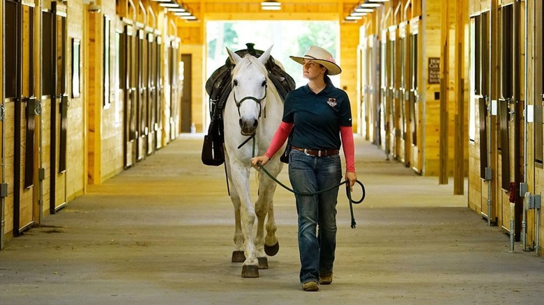 Horse Trainer preparing for horse ride walking with horse