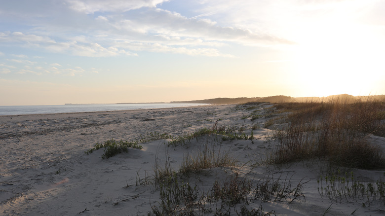 Capers Island beach