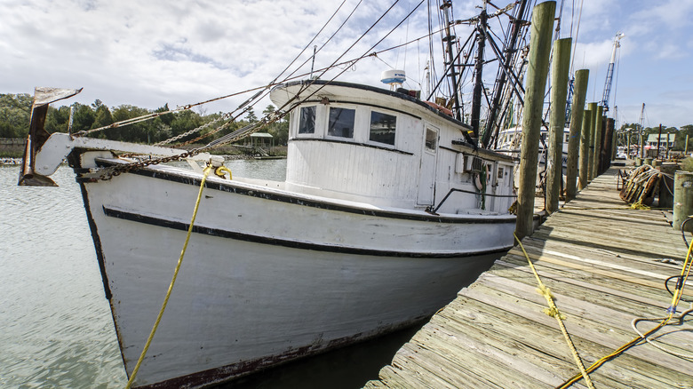 Shrimp boat on the dock