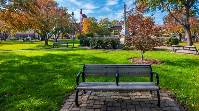 Greenery and a bench at Woodstock Square