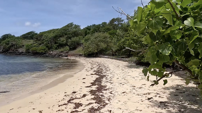 Hog Island beach