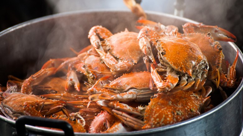 Steamed crabs in a pot