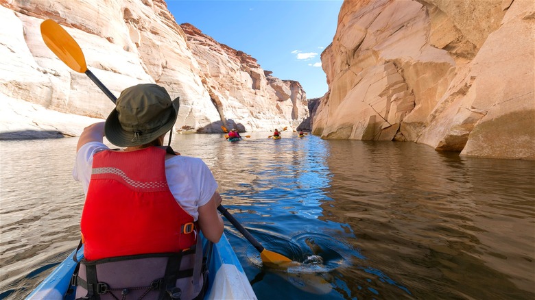 Kayakers in canyon river