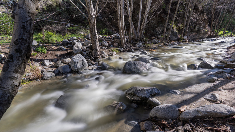 fast rushing stream Eaton Canyon Falls