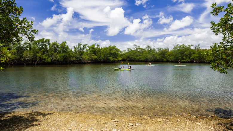 Kayakers and paddleboarders on Oleta River