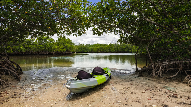 Kayak launch on the Oleta River