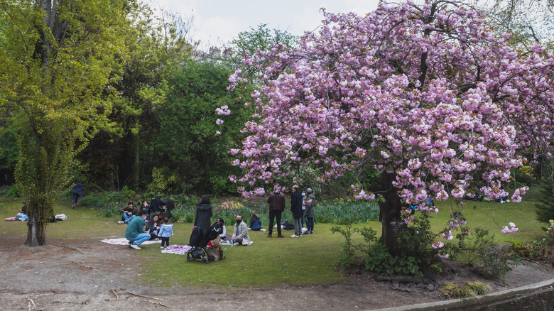 People having picnics in the Square des Batignolles in Paris