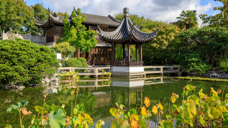 View of Lan Su Chinese Garden in summer with trees and yellow flowers