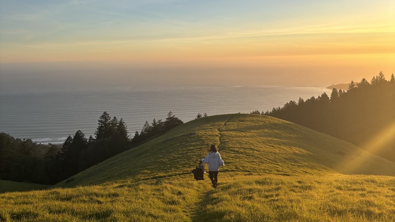 Woman walks in nature at sunset in Fairfax, California.