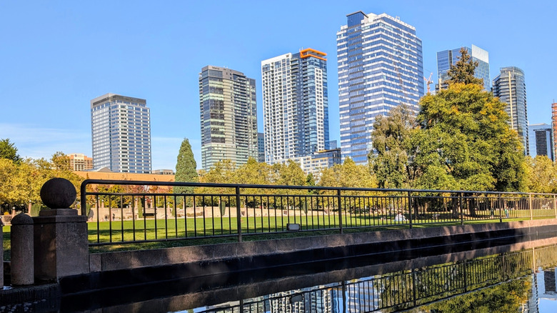 Belleview skyscrapers against the blue sky with trees below