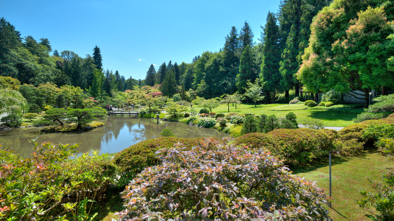 Japanese garden at the Washington Park Arboretum