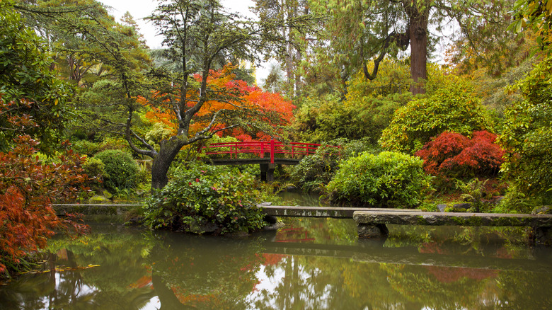 Red bridge over pond and fall colors at Kubota Garden, Seattle